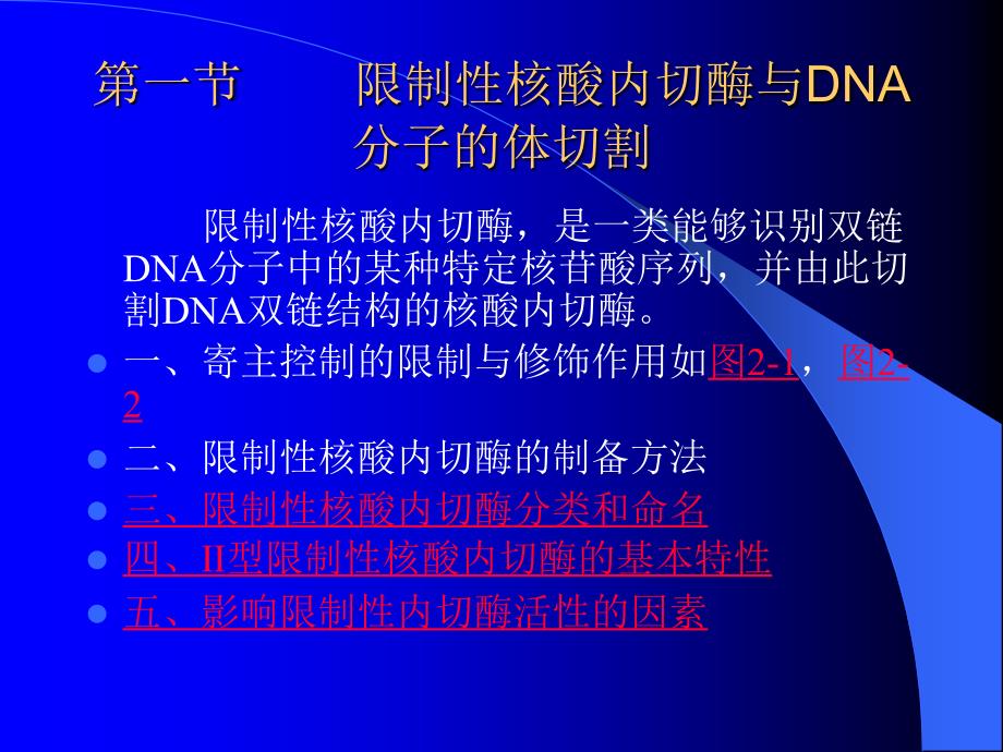 基因工程中常用的工具酶课件_第3页