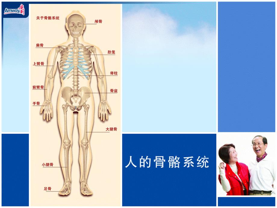 骨关节疾病和痛风_第2页