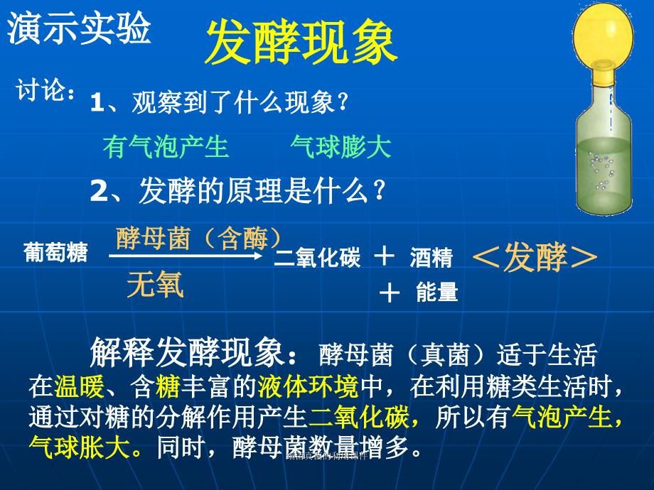 细菌真菌的利用课件_第4页