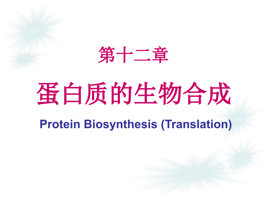 第12章 蛋白质生物合成_第1页