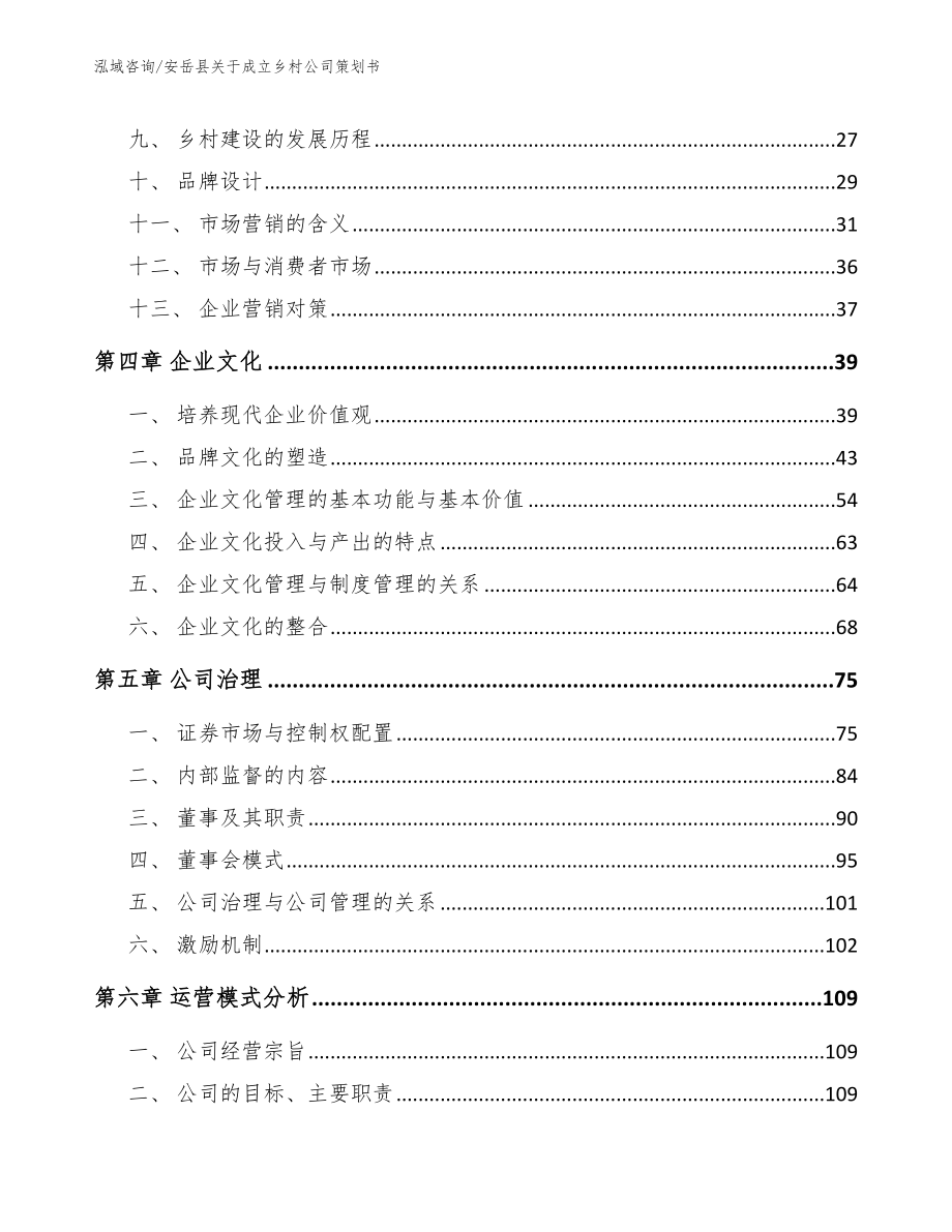 安岳县关于成立乡村公司策划书参考模板_第3页