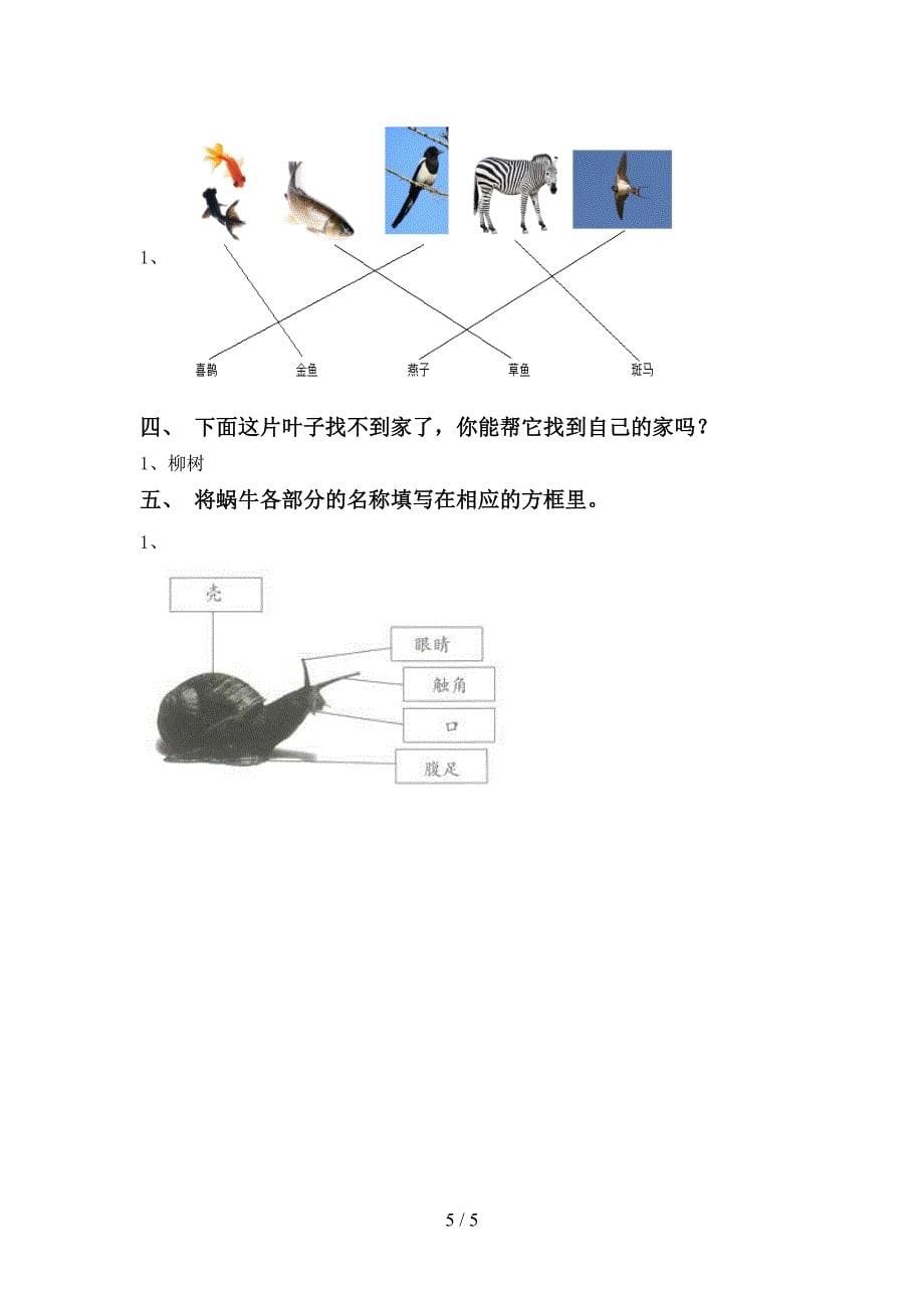 湘教版一年级科学(上册)期中提升练习卷及答案.doc_第5页