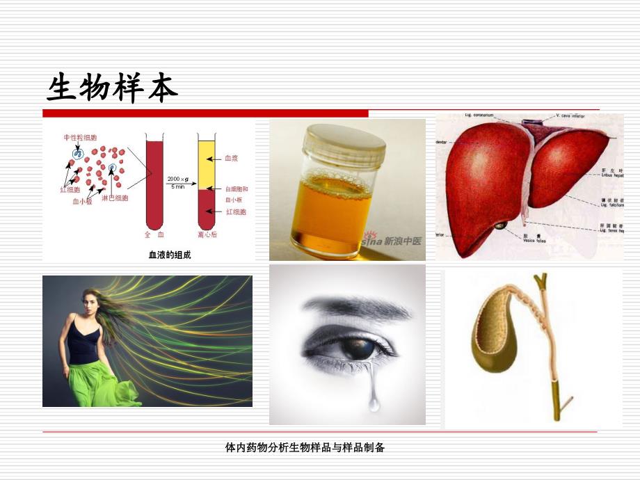 体内药物分析生物样品与样品制备课件_第2页