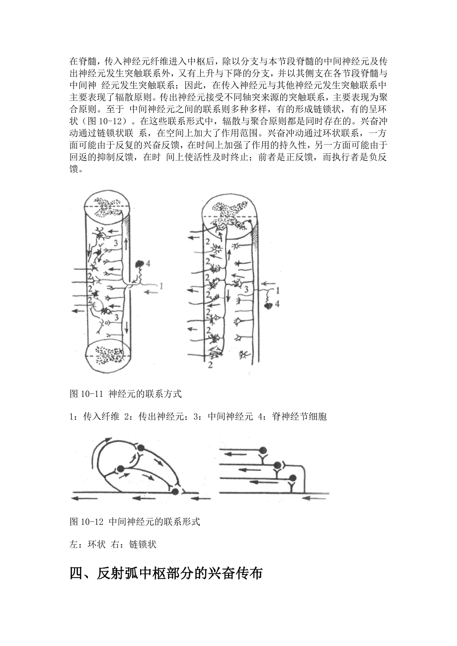 反射活动的一般规律_第3页