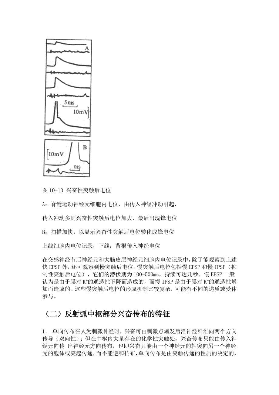 反射活动的一般规律_第5页