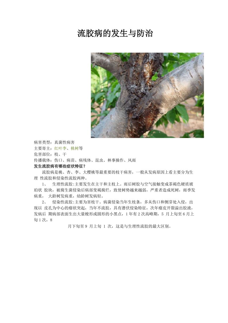 流胶病的发生与防治_第1页