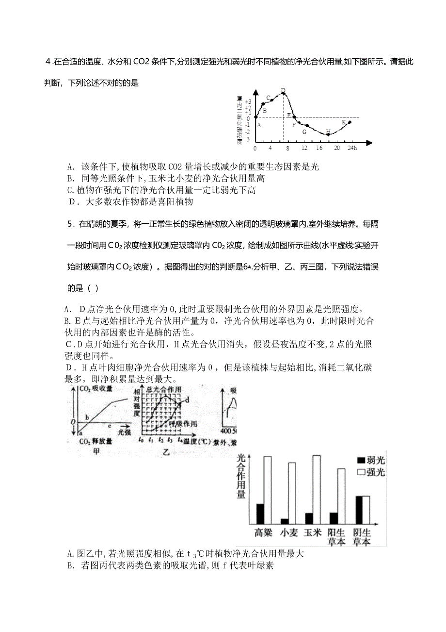 光合作用_第2页