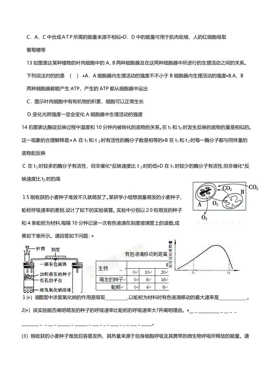 光合作用_第4页