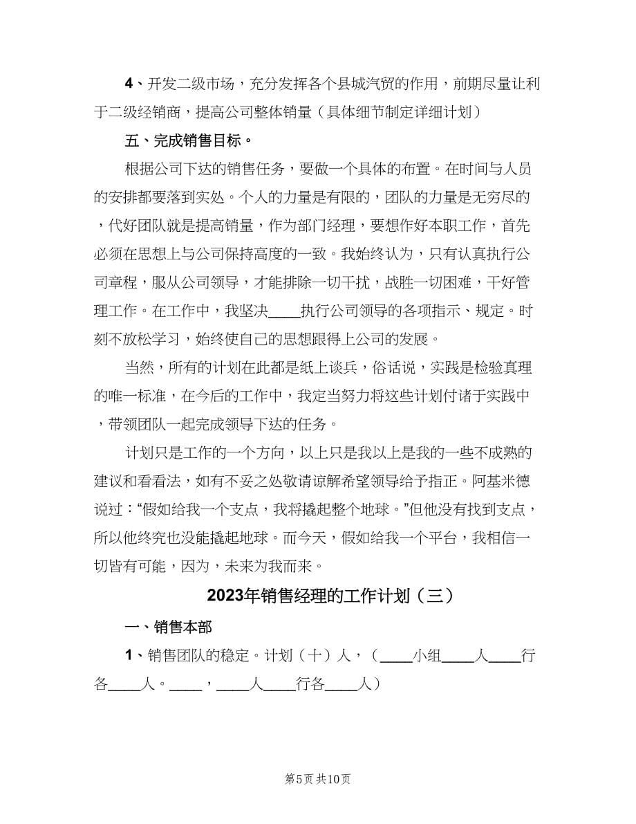 2023年销售经理的工作计划（五篇）.doc_第5页