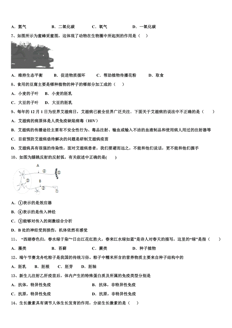 2023届北京市中学关村中学毕业升学考试模拟卷生物卷含解析.doc_第2页