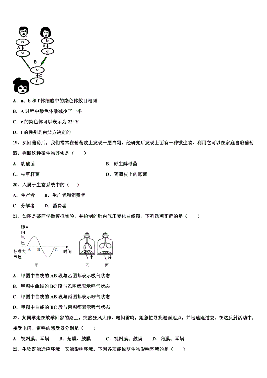 2023届北京市中学关村中学毕业升学考试模拟卷生物卷含解析.doc_第4页