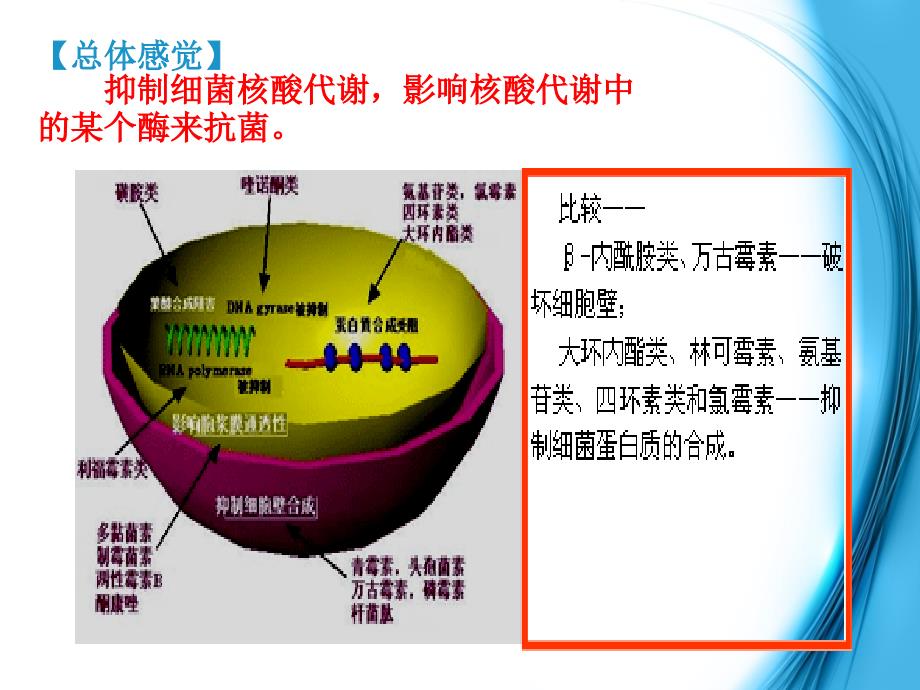 第三节--合成抗菌药课件_第4页