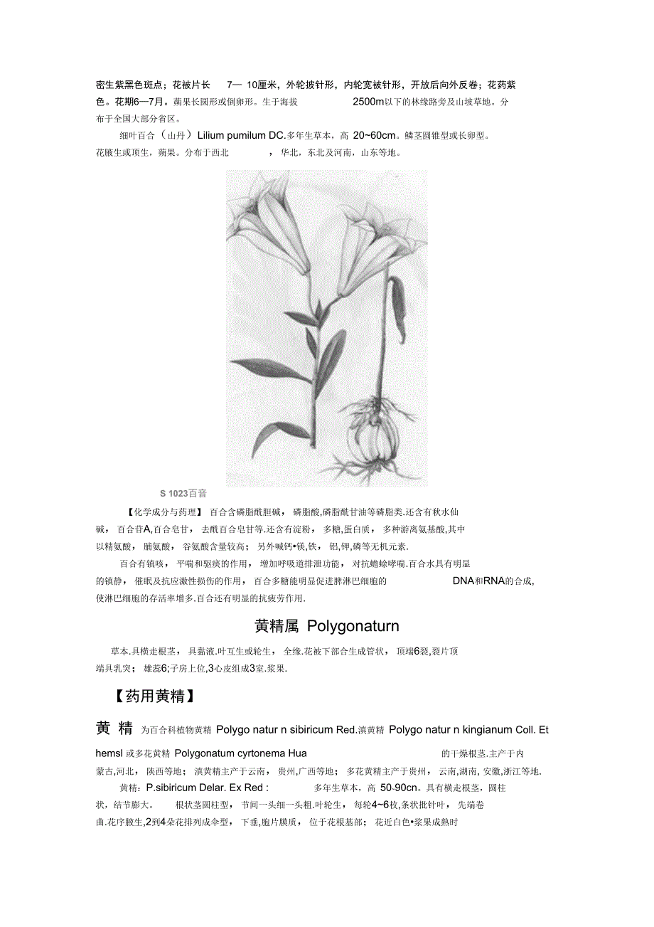 百合科药用植物概述_第2页