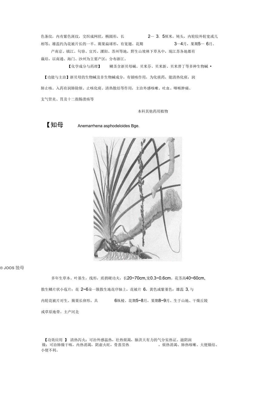 百合科药用植物概述_第5页