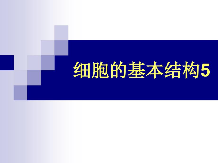 细胞生物学课件：6-细胞基本结构5_第1页