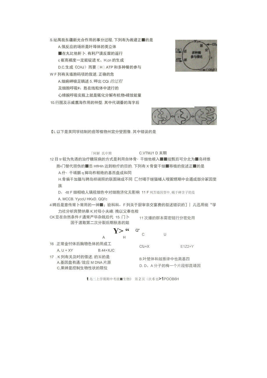 辽宁省阜新市蒙古族自治县二高2019-2020学年高二生物上学期期中试题_第2页