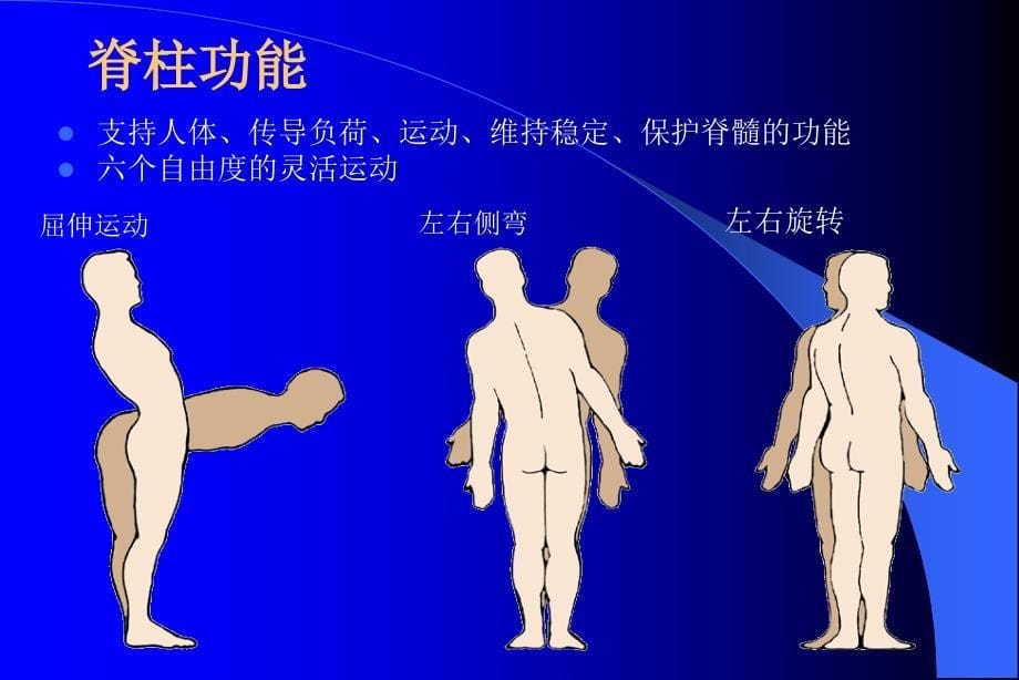 腰椎骨折患者的护理.ppt_第5页