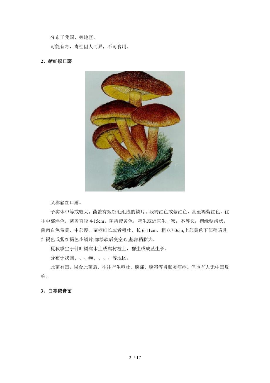 有毒蘑菇种类及图文的介绍_第2页