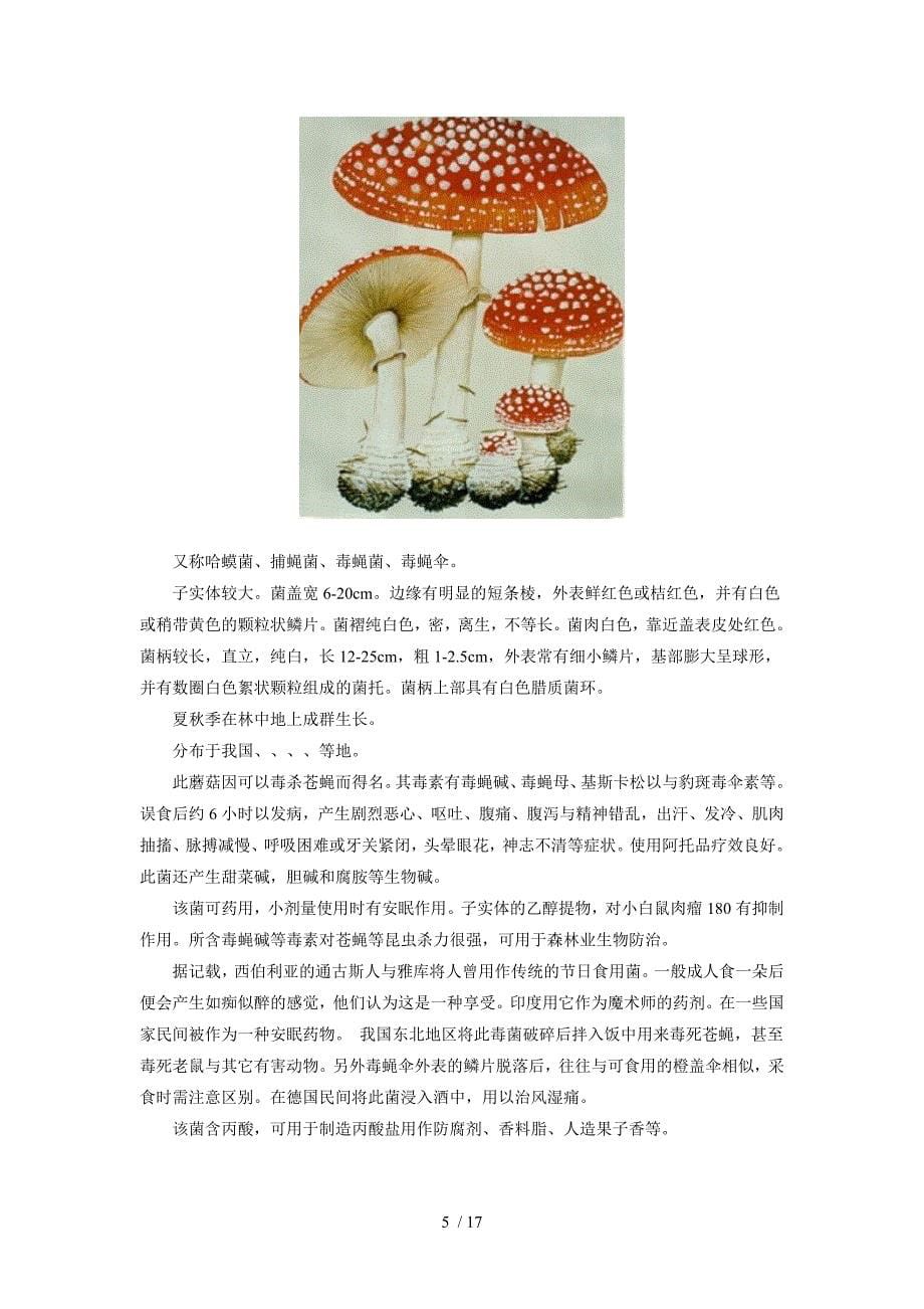 有毒蘑菇种类及图文的介绍_第5页