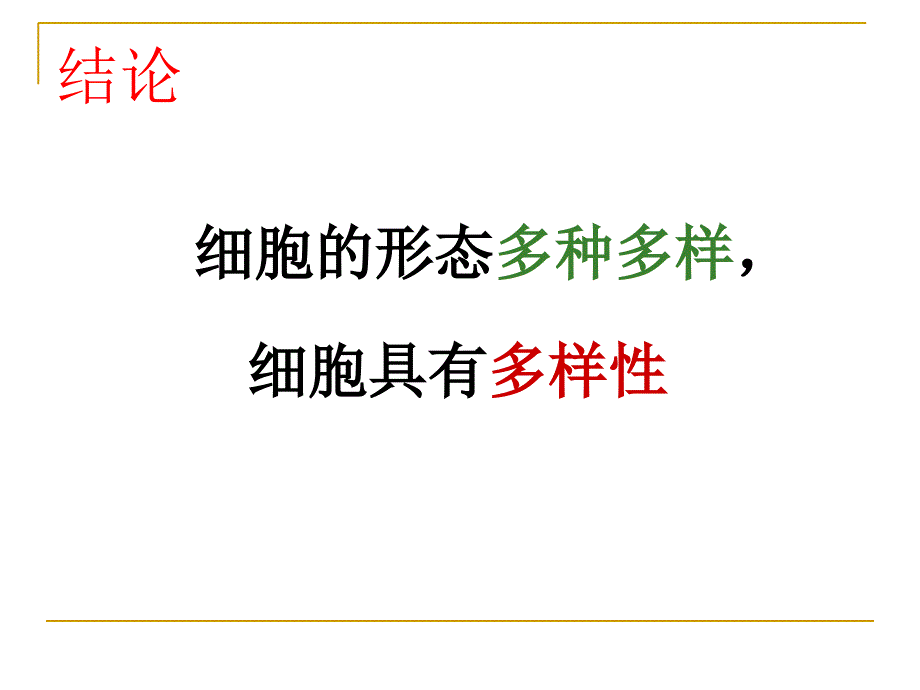 生物必修1人教版12细胞的多样性和统一性（共20张）_第4页