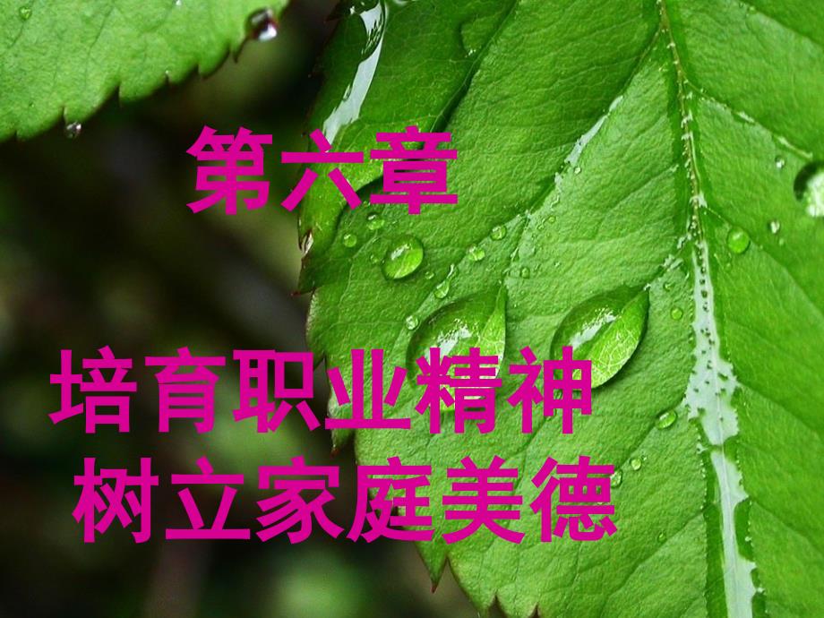 培育职业精神树立家庭美德_第1页