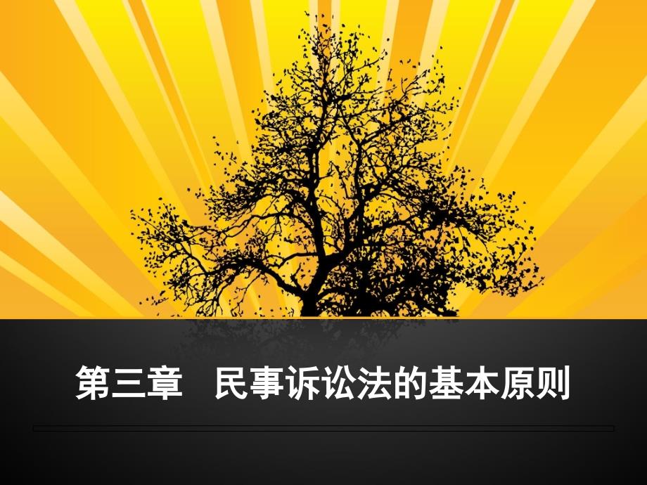 民事诉讼法学课件：第三章 民事诉讼法的基本原则_第1页