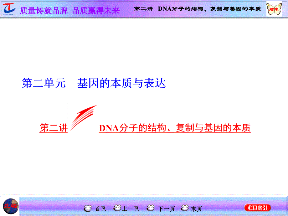 第二讲DNA分子的结构复制与基因的本质_第1页