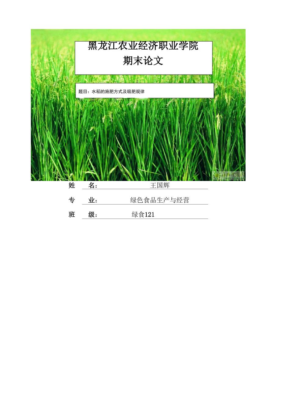水稻的施肥方式及吸肥规律_第1页