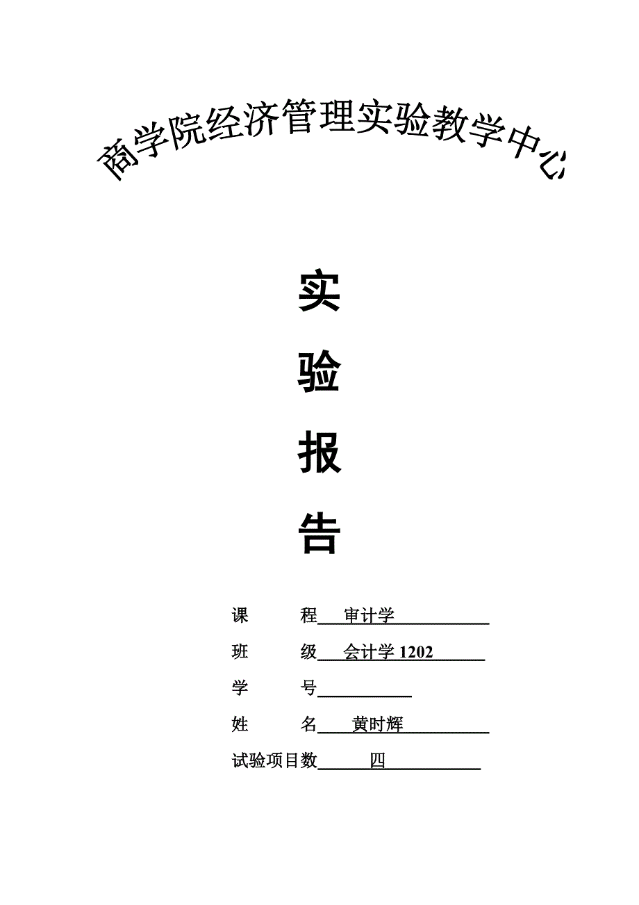 2023年新版审计学实验报告_第1页