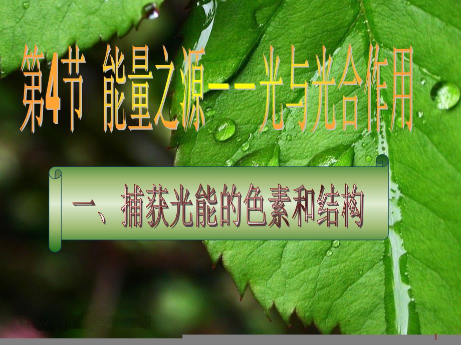 捕获光能的色素和结构55526_第1页