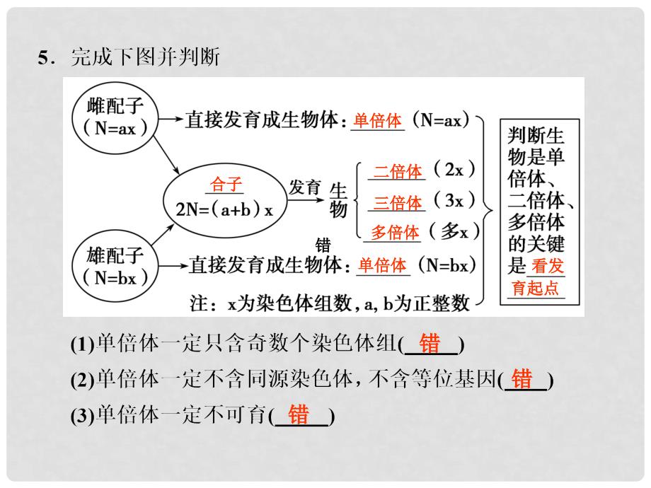 高考生物二轮复习 专题四 遗传、变异和进化3课件 新人教版_第4页