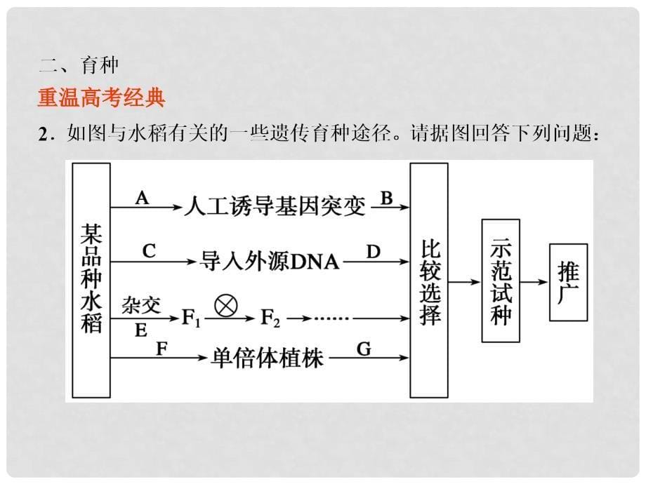 高考生物二轮复习 专题四 遗传、变异和进化3课件 新人教版_第5页