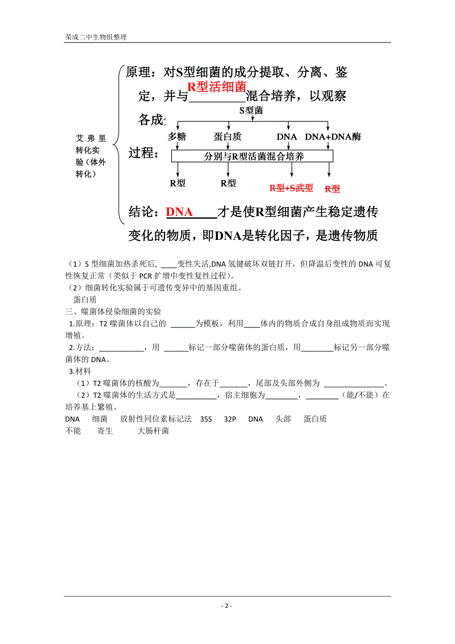 精品学案高三生物一轮复习：DNA是主要的遗传物质(人教版必修二).doc_第2页