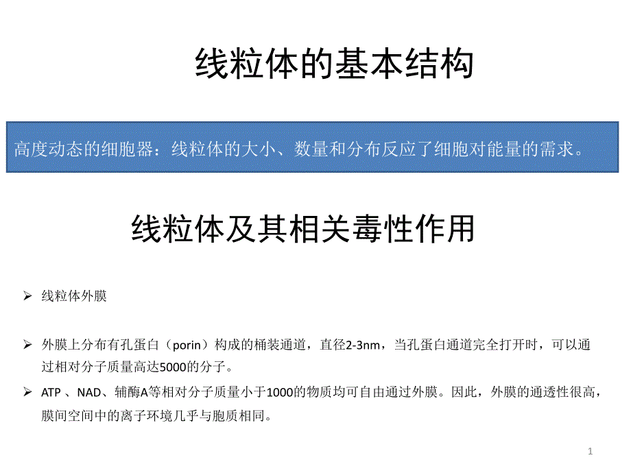 线粒体功能及其相关毒性作用ppt课件_第1页