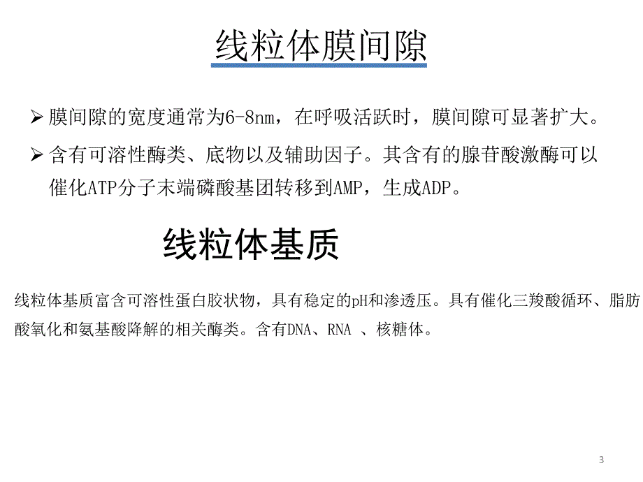 线粒体功能及其相关毒性作用ppt课件_第3页