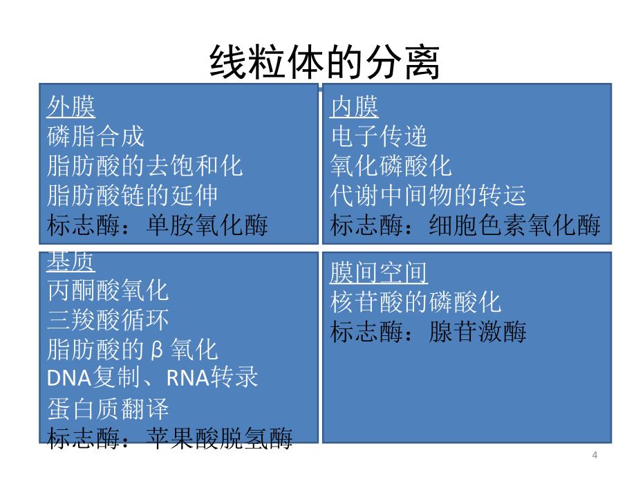 线粒体功能及其相关毒性作用ppt课件_第4页