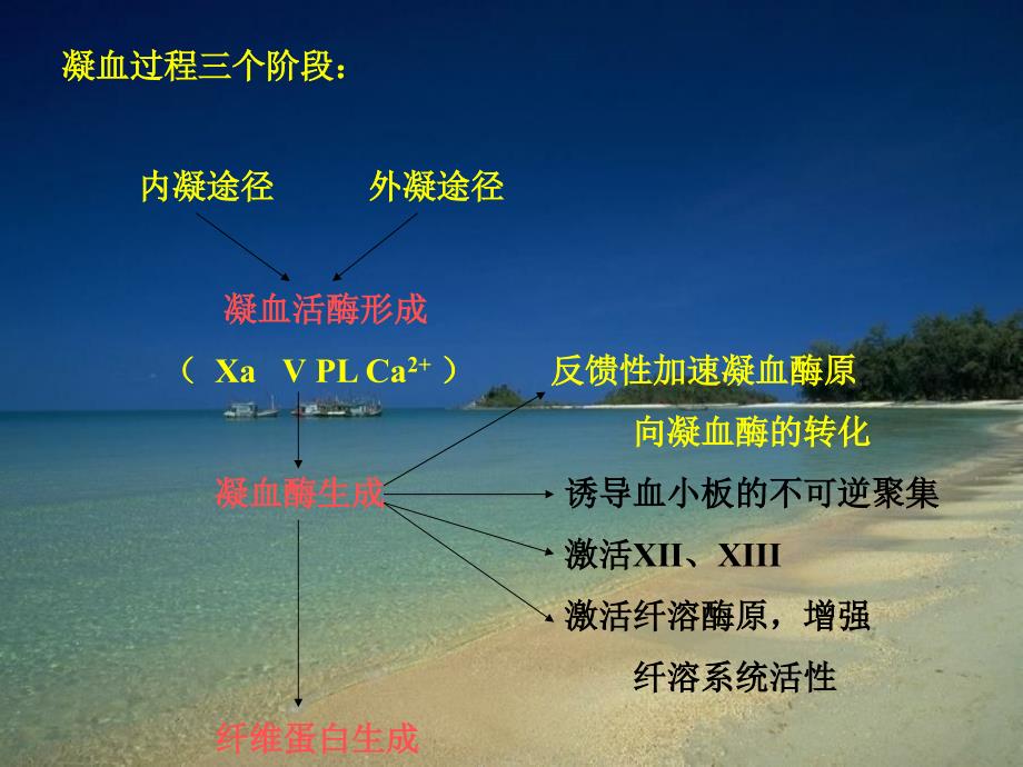 病理生理学9弥散性血管内凝血_第3页