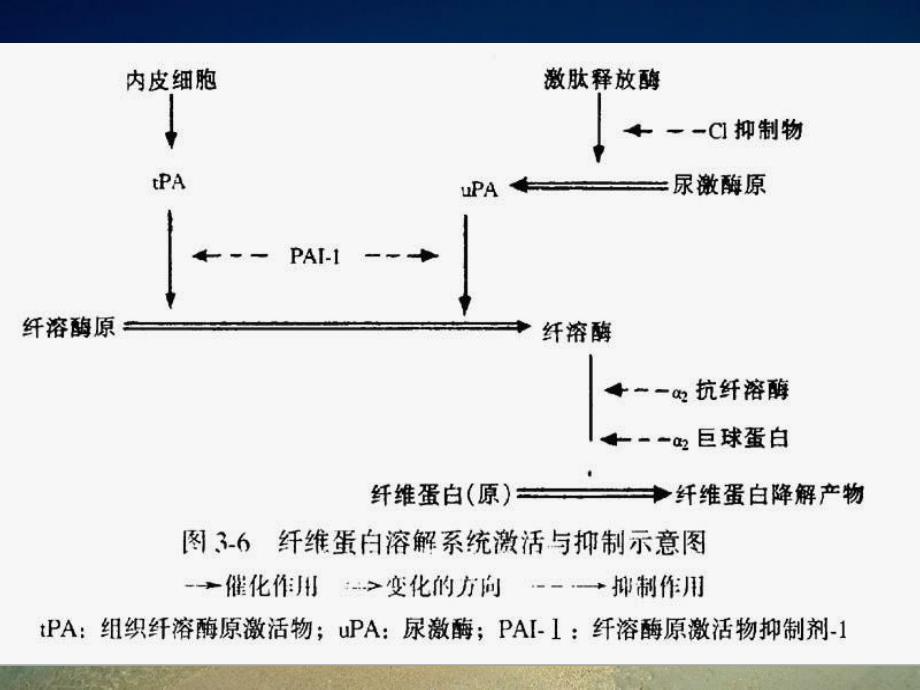 病理生理学9弥散性血管内凝血_第4页