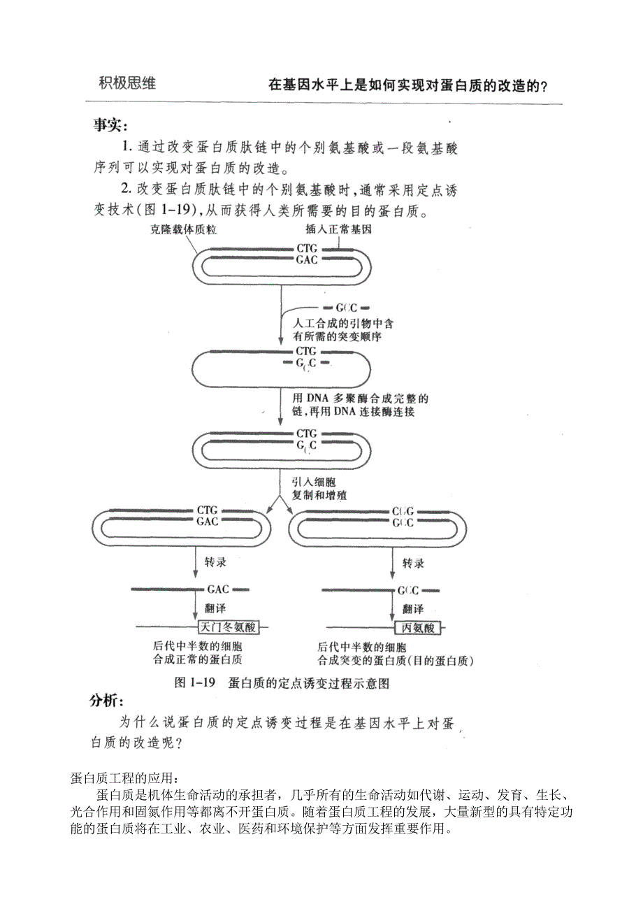 2022年高中生物 第一单元 基因工程2导学案 新人教版选修3_第3页