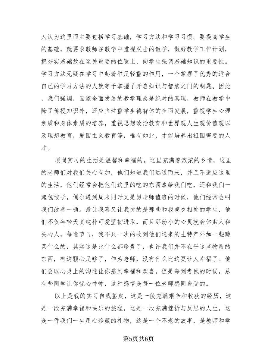 个人销售顶岗实习总结（2篇）.doc_第5页