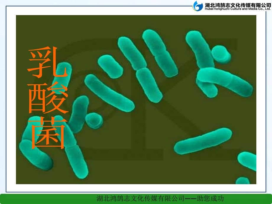 15玩出了名堂3_第3页