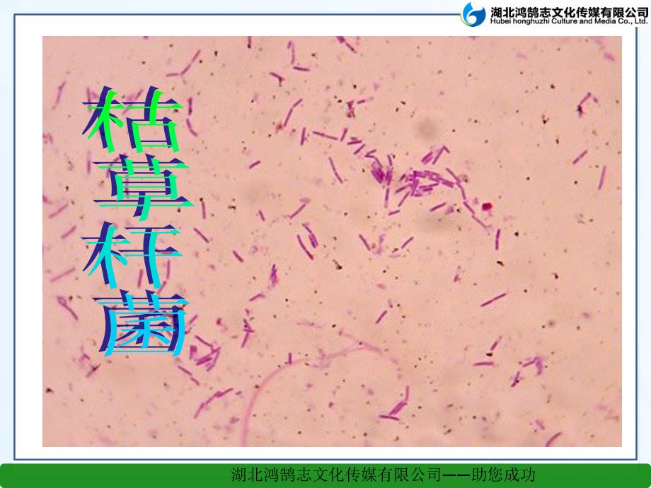 15玩出了名堂3_第4页