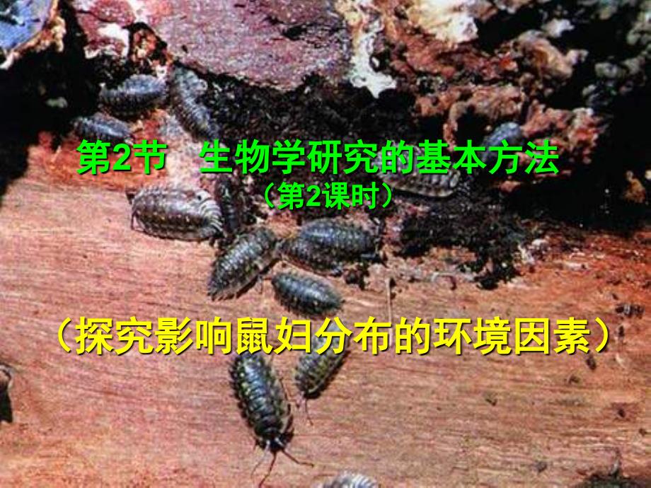 22生物学研究的基本方法2_第2页