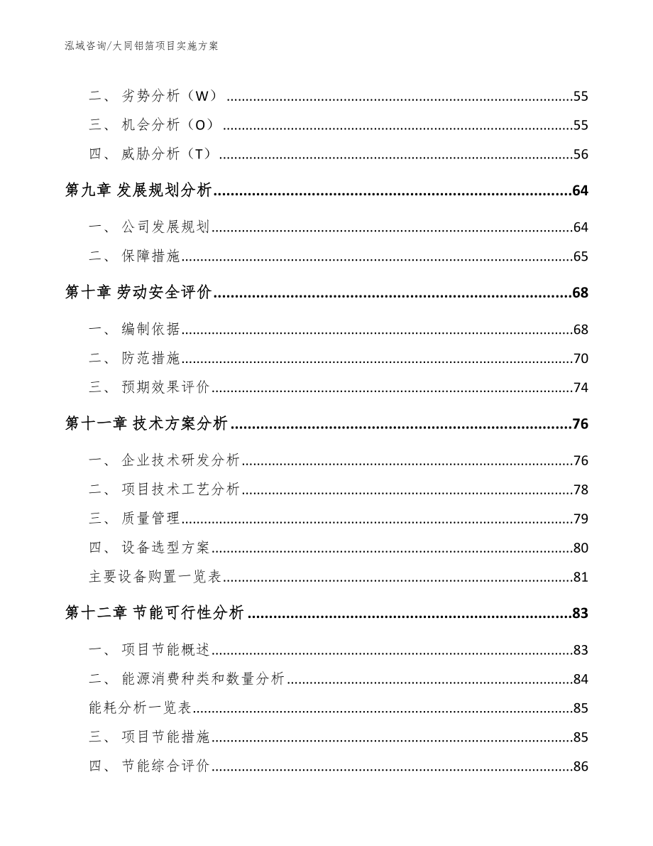 大同铝箔项目实施方案范文模板_第3页