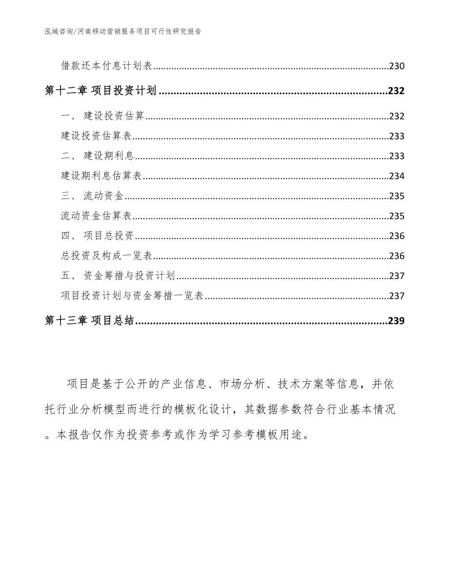 河南移动营销服务项目可行性研究报告范文参考_第5页