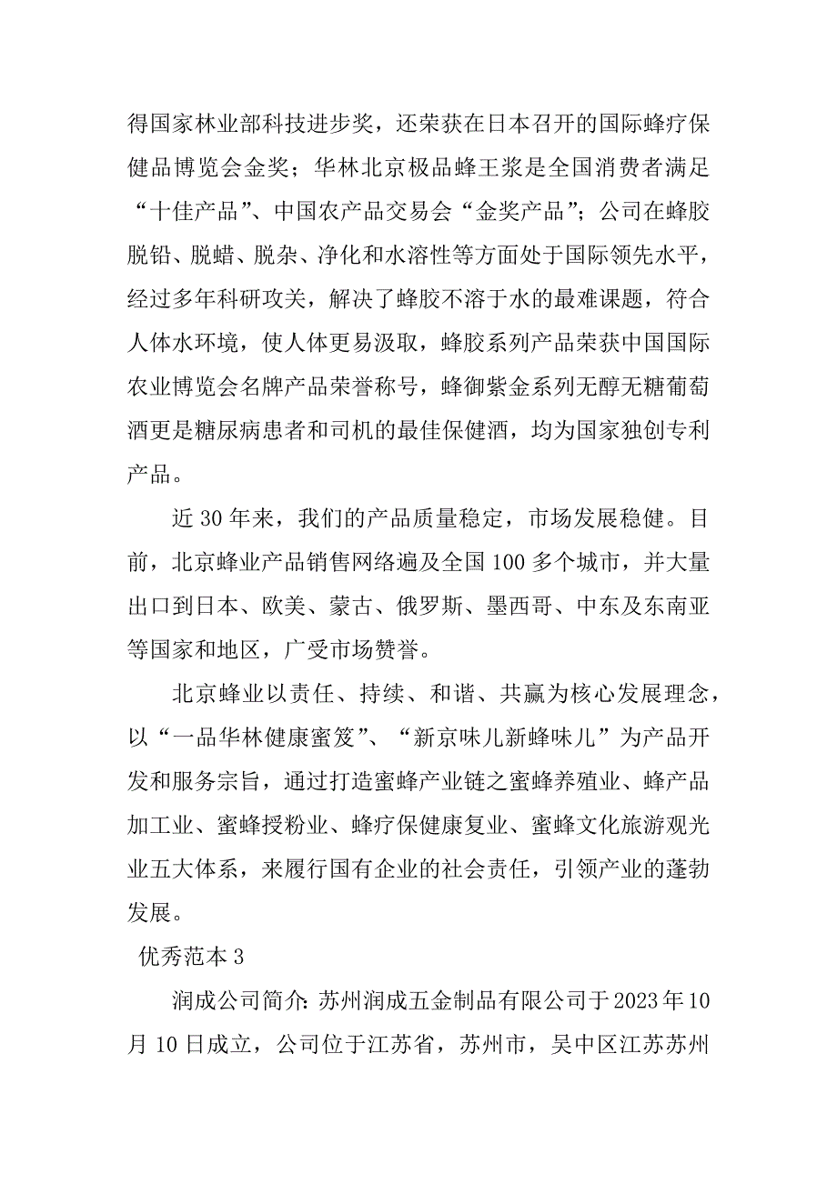 2023年润成公司简介(6个范本)_第3页