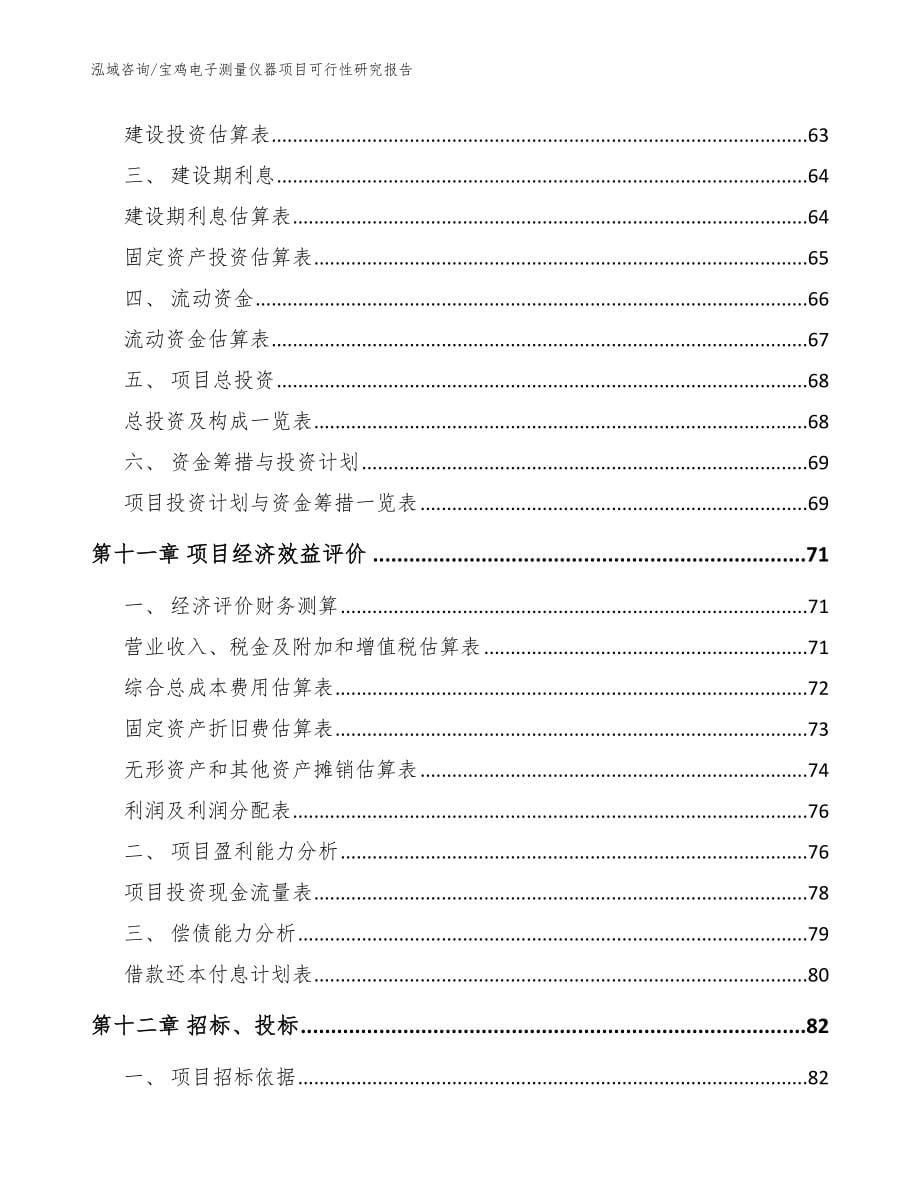 宝鸡电子测量仪器项目可行性研究报告（模板范本）_第5页