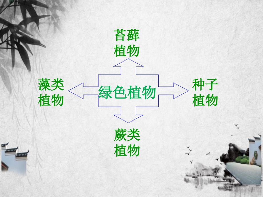 七年级生物上册2.1.1绿色植物的主要类群第一课时课件新版济南版_第2页