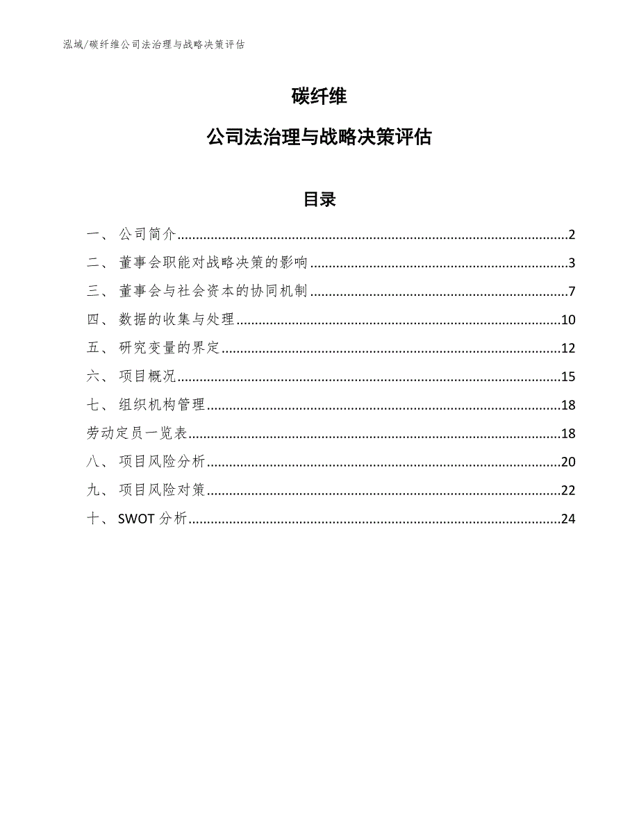 碳纤维公司法治理与战略决策评估_第1页