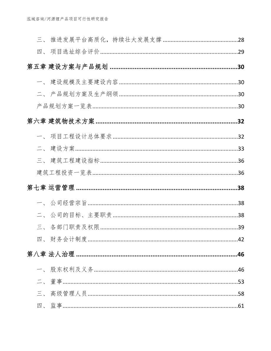 河源锂产品项目可行性研究报告（模板范文）_第2页